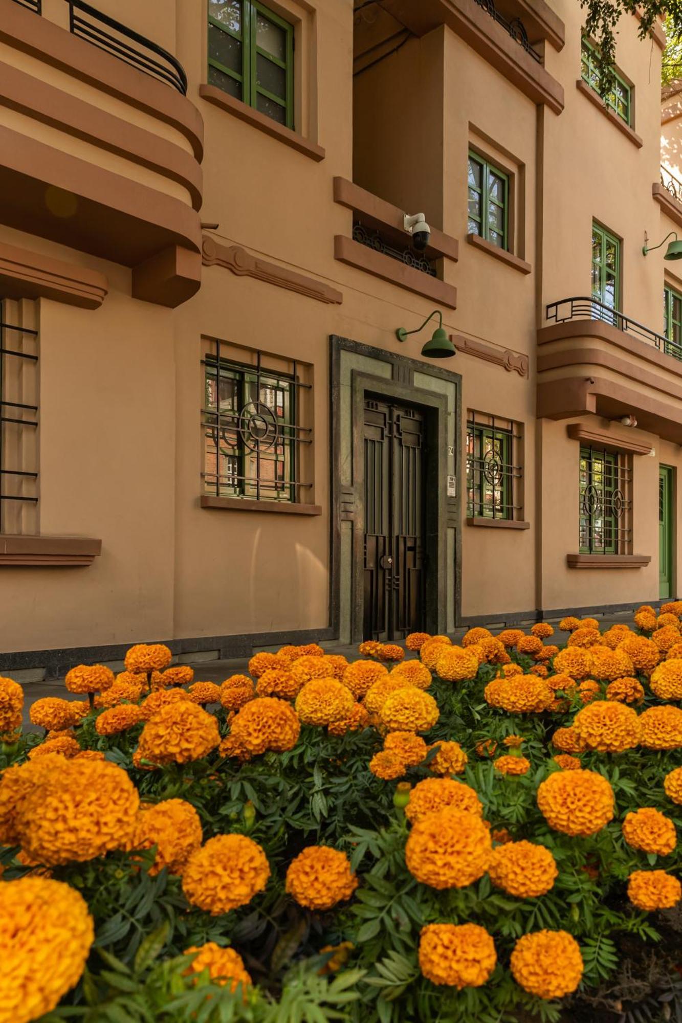 Apartment Casa Oliva